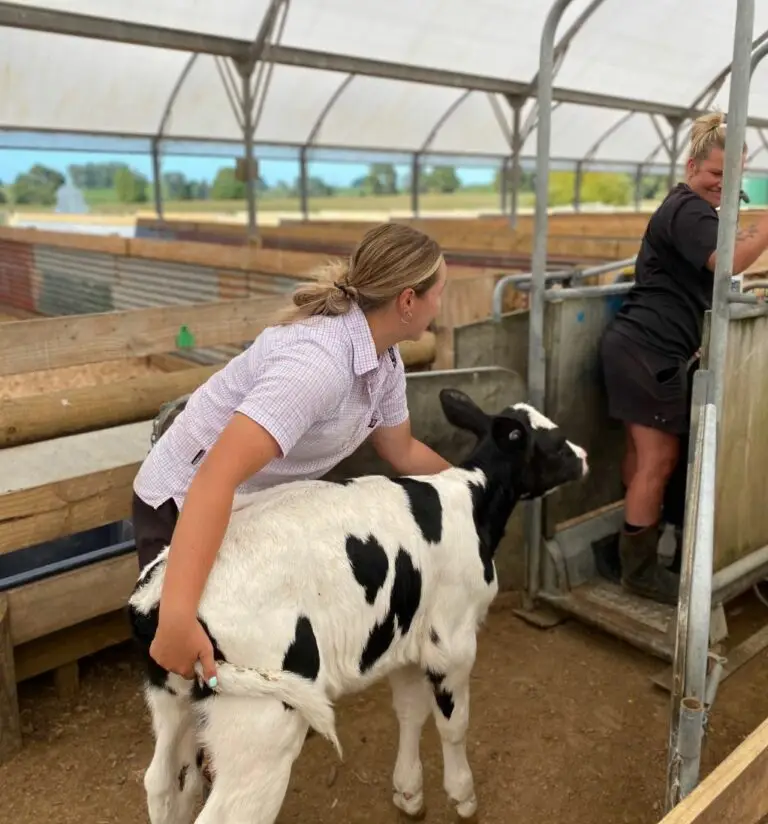 Ashley Cox-Milne and calf